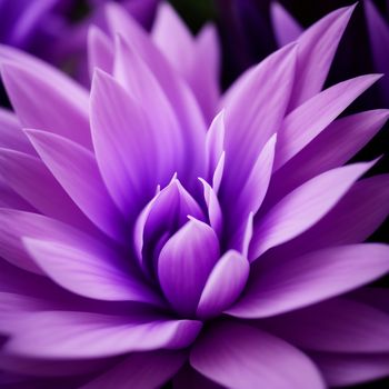 purple flower with a black background is shown in this image