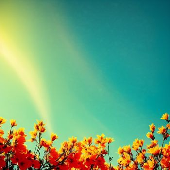 field of yellow flowers with a blue sky in the background with a sunbeam in the middle of the picture