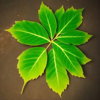 green leaf laying on a brown surface with a brown background and a black background with a white border