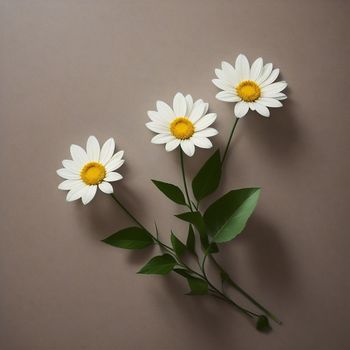 three white flowers with green leaves on a brown background with a yellow center in the center of the flower