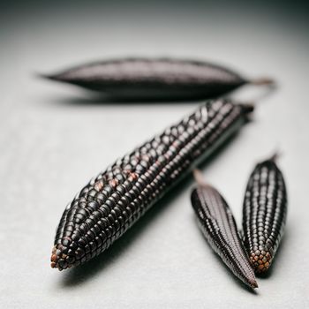 three black and white seed pods on a white surface with a black background and a black and white photo