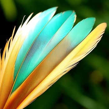 close up of a bird's feathers with a blurry background