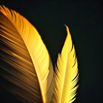 close up of a yellow feather on a black background with a dark background